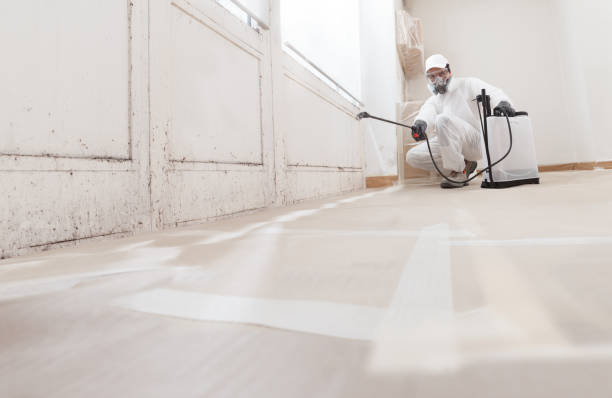 24/7 Emergency Basement Mold Remediation experts in Lawnside, NJ