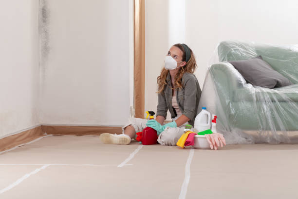 Reliable Basement Mold Remediation contractor in Lawnside, NJ by Car Mold Remediation