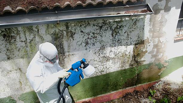 Top rated local Basement Mold Remediation specialists in Lawnside, NJ